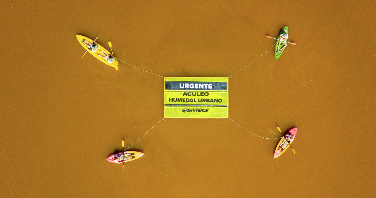 Greenpeace se suma a petición de declarar humedal urbano a la Laguna de Aculeo: “Es urgente”