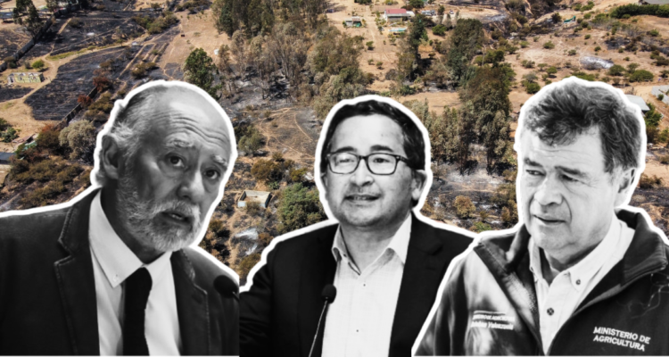 Las disputas políticas que se esconden detrás de los incendios en la región de Valparaíso