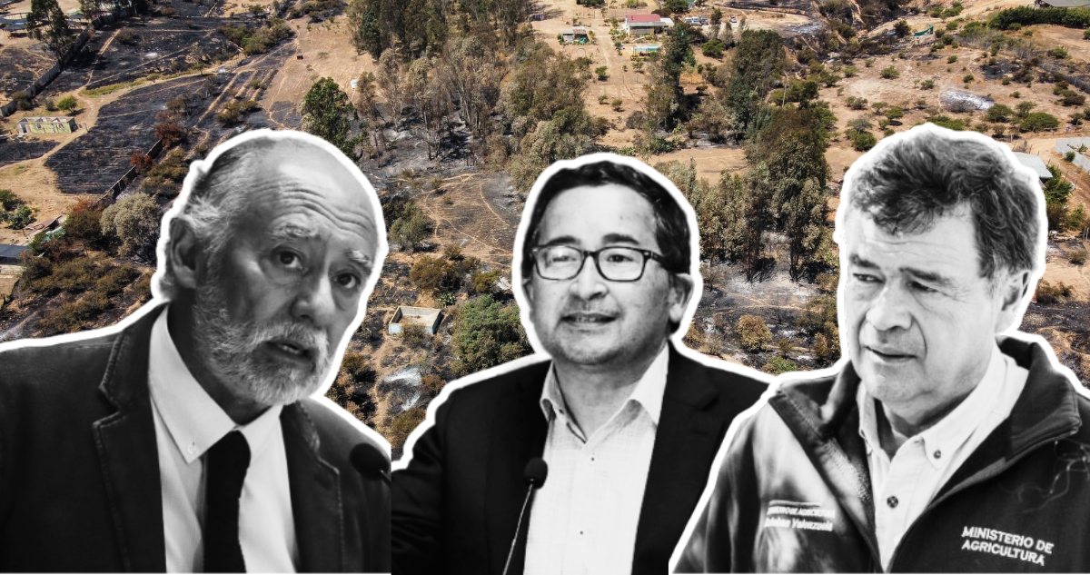Las disputas políticas que se esconden detrás de los incendios en la región de Valparaíso