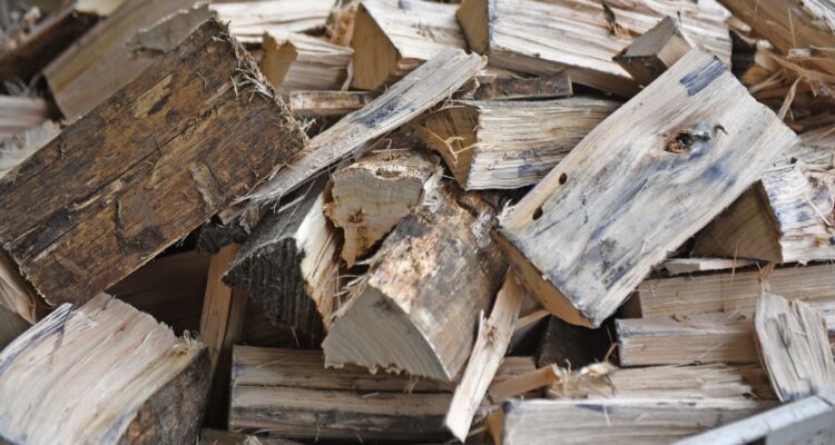 Los Lagos: autoridades llaman a preferir la compra de leña seca y certificada previo al invierno