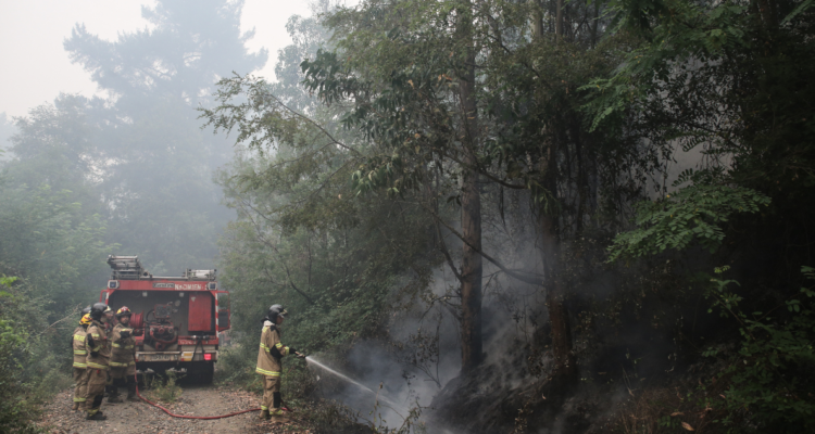 Bomberos apagando incendios forestales en Lota