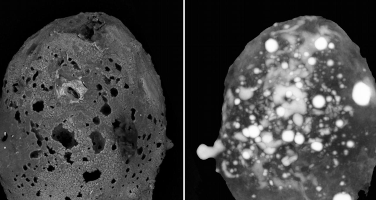 Imagen del meteorito encontrado en el sur de Italia.