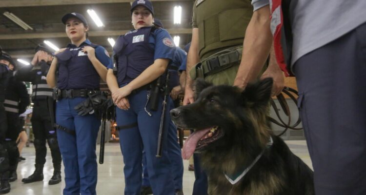Metro recibirá marzo con más trenes, más guardias y tolerancia cero a los grafitis