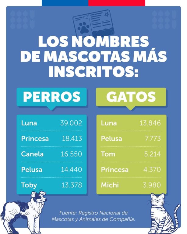 Los nombres de perros y gatos mascotas más usados o repetidos en Chile