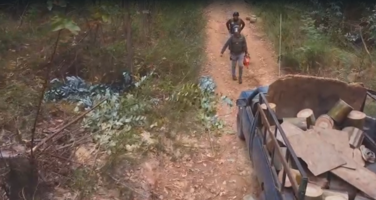 Detienen a 2 personas que talaban árboles en el limite del Parque Nacional Nonguén en Hualqui