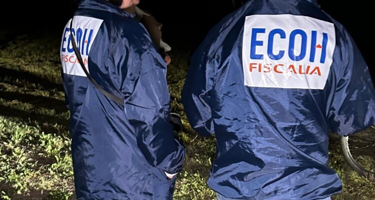 Encuentran una pierna humana en un canal de regadío de Padre Hurtado