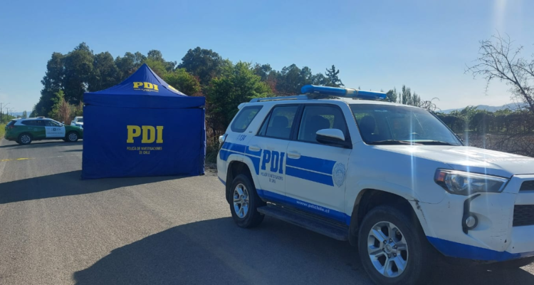 En prisión queda cuidador de fundo por matar a sujeto que habría estado robando kiwis en Curicó