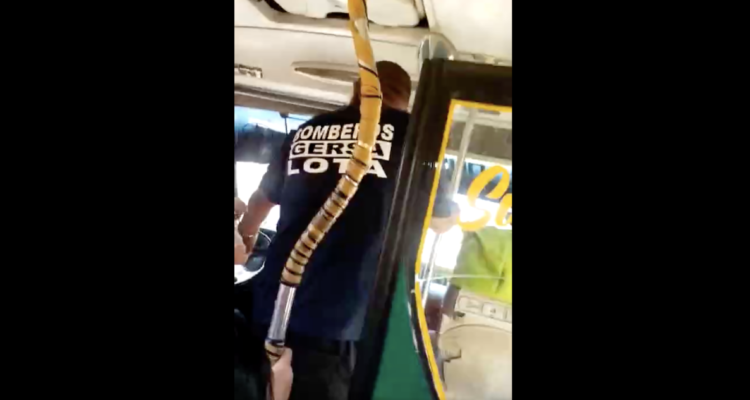 “Repudiamos toda agresión”: Bomberos aparta de sus filas a voluntario que peleó con chofer de micro