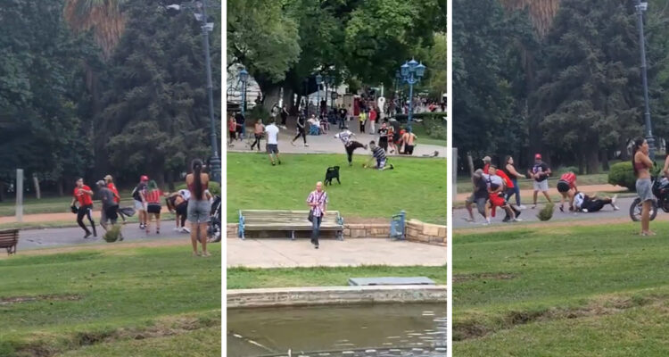 Hinchas de Colo Colo se pelearon entre ellos en Mendoza.