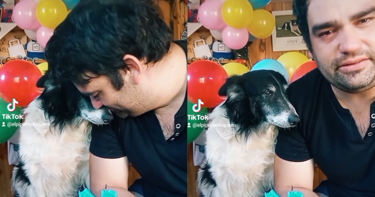 Pablo Machado junto a su perrito Pipo de 14 años en emotivo video de cumpleaños