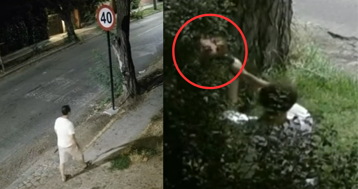Lobbista, exasesor de senadora y exalto funcionario de la Arcis: ¿quién es el Pistolero de La Reina?
