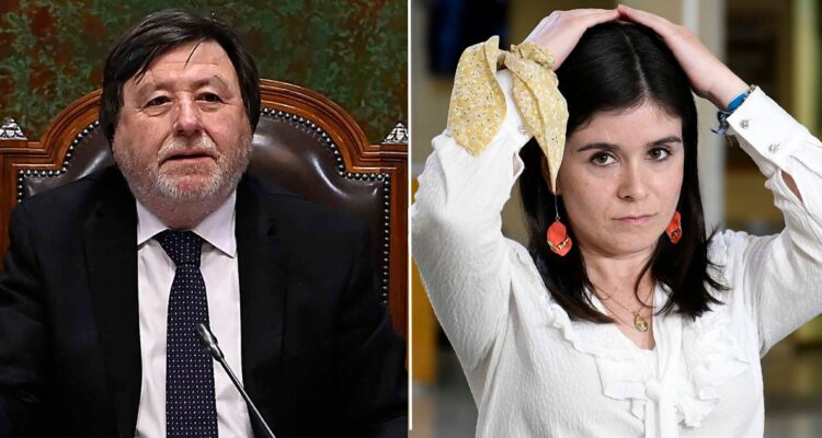 Presidente de la Cámara dice que estudiarán acciones contra Barchiesi por matrimonio durante incendios