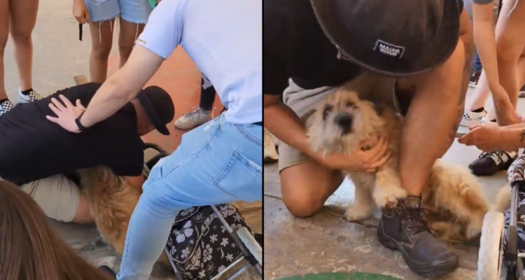 Reencuentro joven y su perro