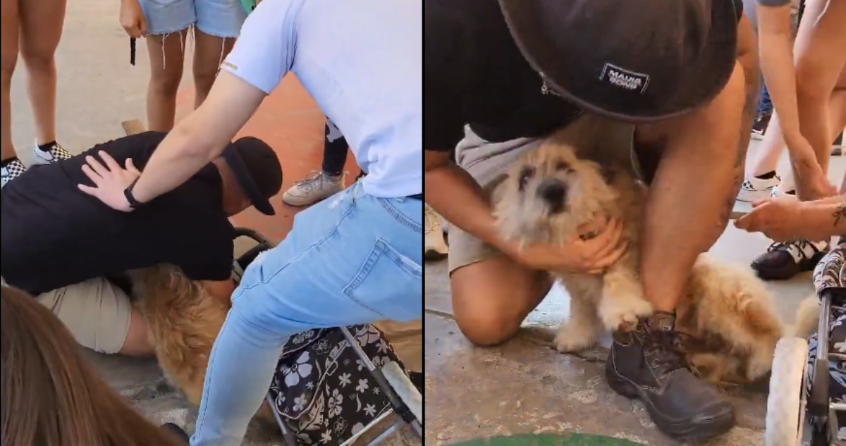 Reencuentro joven y su perro