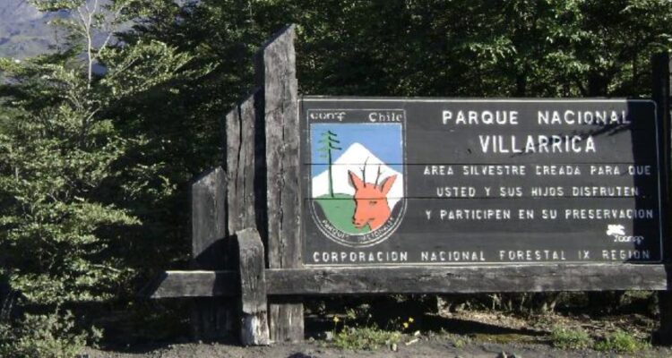 Incendio forestal al interior de reserva nacional Villarrica