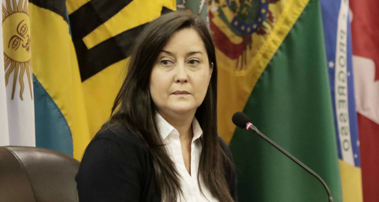 Quién es Rocío San Miguel: la activista detenida en Venezuela acusada de planear atentado a Maduro