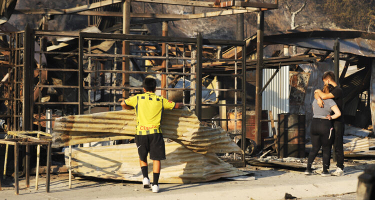 Rodrigo Mundaca: Si se confirma que incendios fueron intencionales, son 19 homicidios contra inocentes