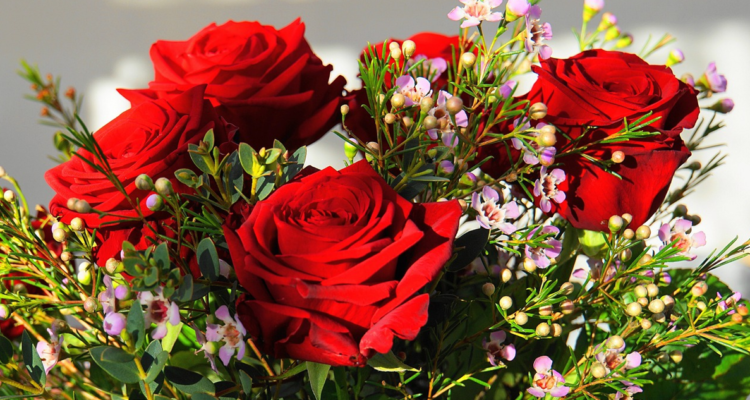 Un nuevo informe revela de forma alarmante cómo la práctica de regalar rosas y su mercado agravan también la crisis climática.