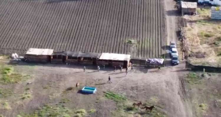 Pedía 50 mil dólares de rescate: detienen a secuestrador por plagio de dos compatriotas en Paine