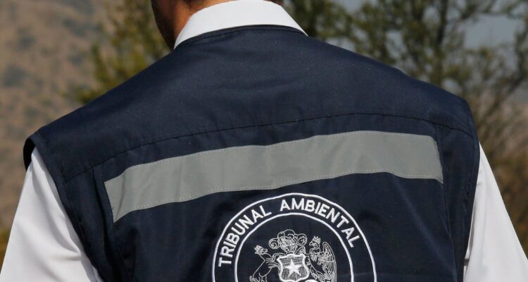 Segundo Tribunal Ambiental ratifica vigencia de proyecto Minicentral Biomasa La Gloria en el Maule