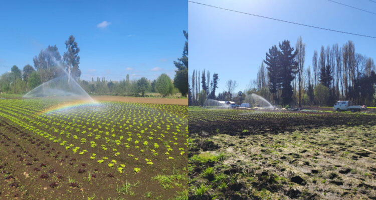 Indap invertirá $180 millones en reparación de sistemas de riego de comunidades pehuenche de Lonquimay