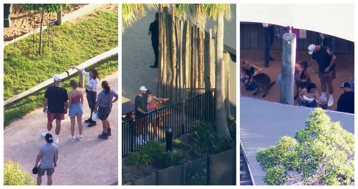 La organización animalista PETA criticó a Taylor Swift y a su pareja, Travis Kelce por visitar el zoológico de Sidney en vez de un santuario.