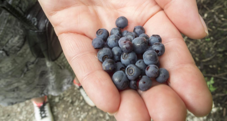 El TDAH suele considerarse como algo negativo, pero ahora se cree que gracias a este trastorno el ser humano logró adaptarse y sobrevivir.
