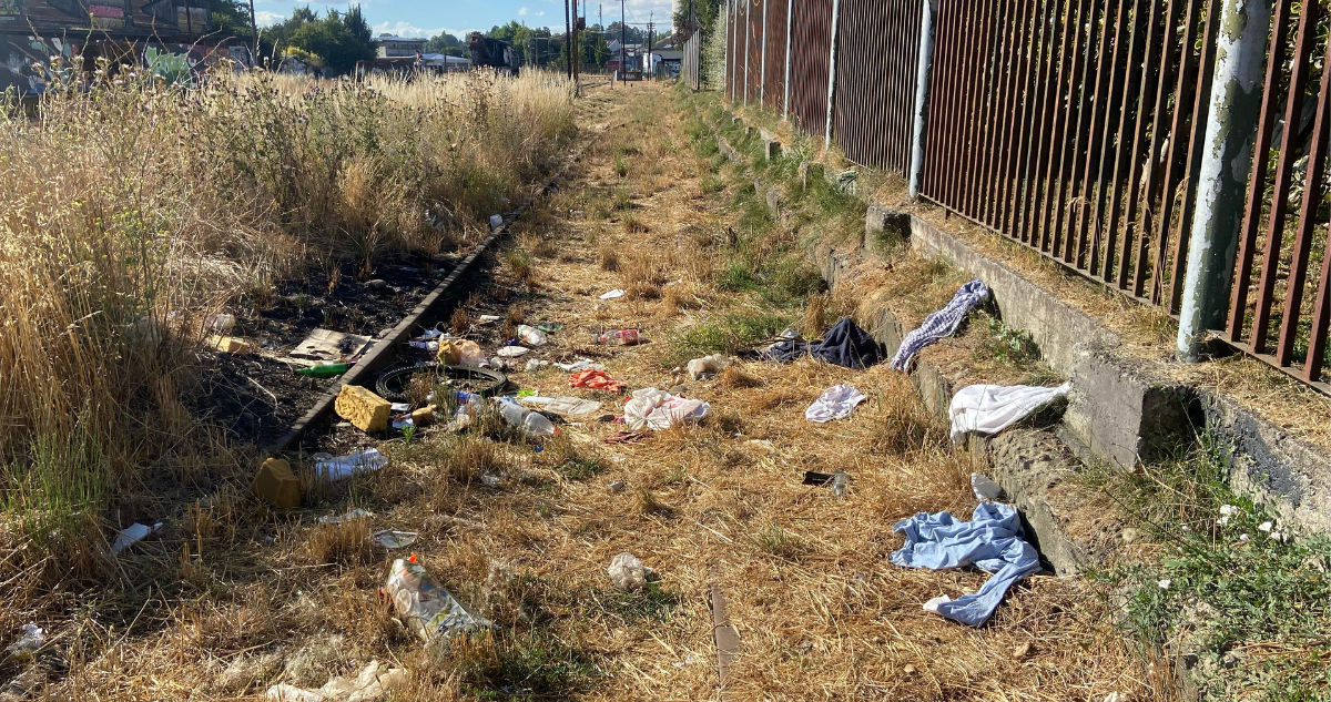 Terreno de EFE en Osorno