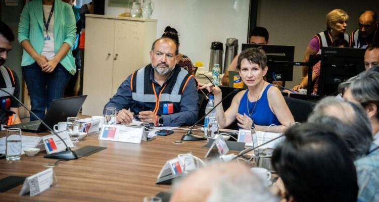 Bomberos de Viña del Mar confirma que el Jardín Botánico se quemó en su totalidad: hay cuatro muertos