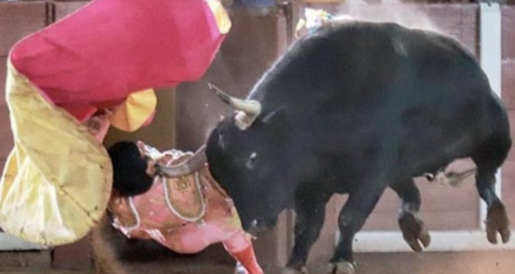 José Alberto Ortega corneado