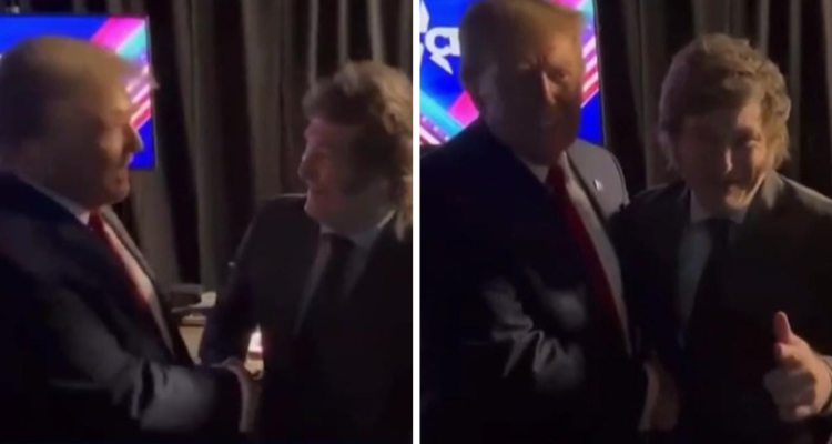 Imagen de Donald Trump junto a Javier Milei