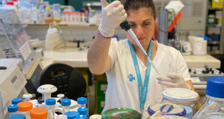 Desarrollan sistema de vacunación contra el cáncer que reduce el avance del melanoma : ¿cómo funciona?