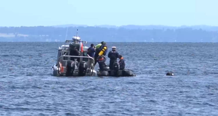 Realizan peritajes subacuáticos a helicóptero en que cayó Sebastián Piñera en el Lago Ranco