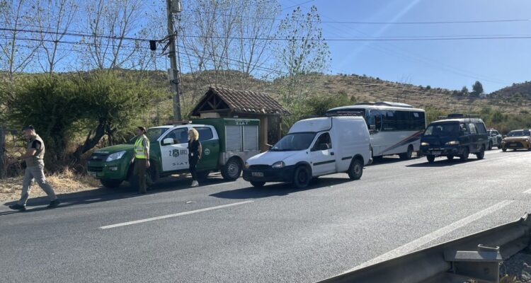 En Línea Maule 