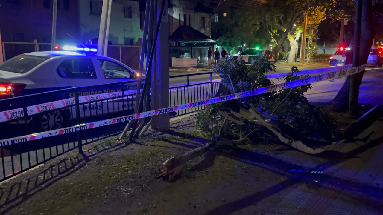 Conductor derriba rejas, un árbol, un poste y termina chocando contra casa en Ñuñoa
