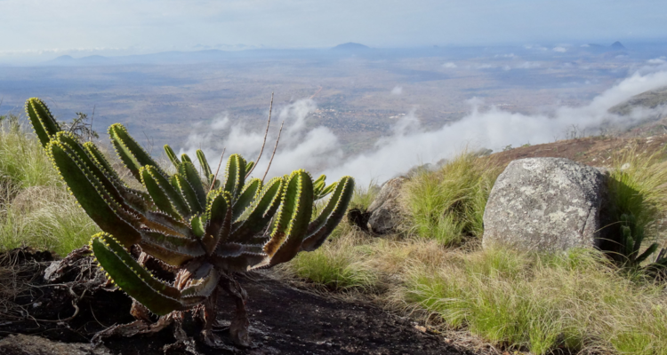 El Archipiélago Montano.