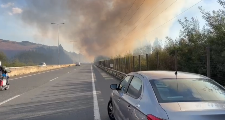 Incendio forestal afecta a Padre Las Casas en la Ruta 5 Sur: amenaza con llegar a bypass Temuco