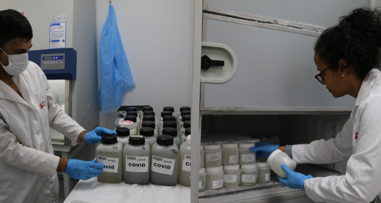 Bío Bío: análisis en aguas residuales revela que casos covid en enero alcanzaron niveles de pandemia