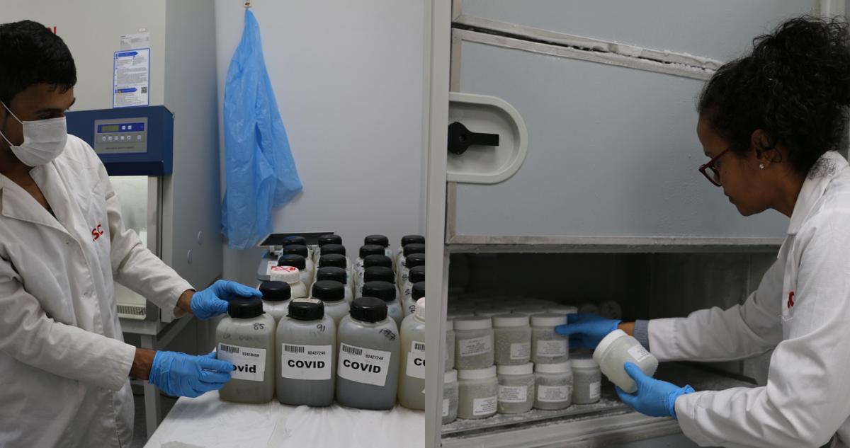 Bío Bío: análisis en aguas residuales revela que casos covid en enero alcanzaron niveles de pandemia