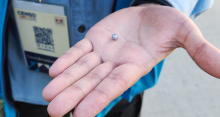 censista recibe disparo de balin de acero