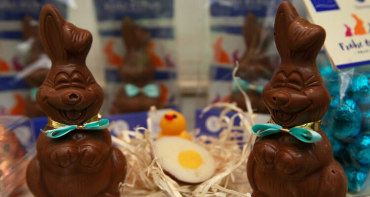 conejos de chocolate