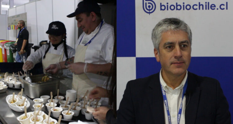 Chile es el primer exportador mundial: mitilicultores celebrarán Día del Chorito en Castro este sábado