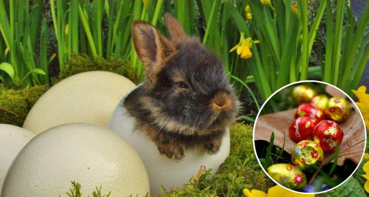 ¿Qué relación tienen realmente los conejos y los huevos de chocolate con esta tradicional (y global) festividad cristiana?