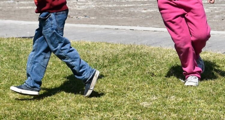 Habrían más víctimas: formalizan a adulto mayor por abuso sexual contra su sobrino en Valdivia