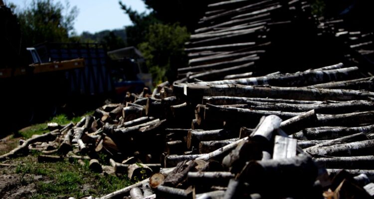 Detienen infraganti a 3 hombres por robo de madera desde predio en San José de la Mariquina