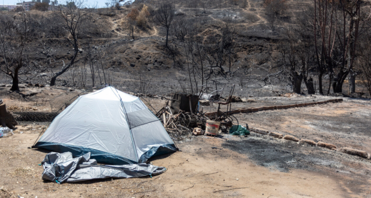 Critican intención de comprar carpas Viña del Mar