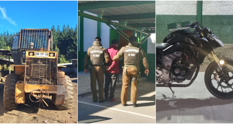 Curanilahue: operativos policiales dejan 2 detenidos por robo de madera y otro por receptación de moto
