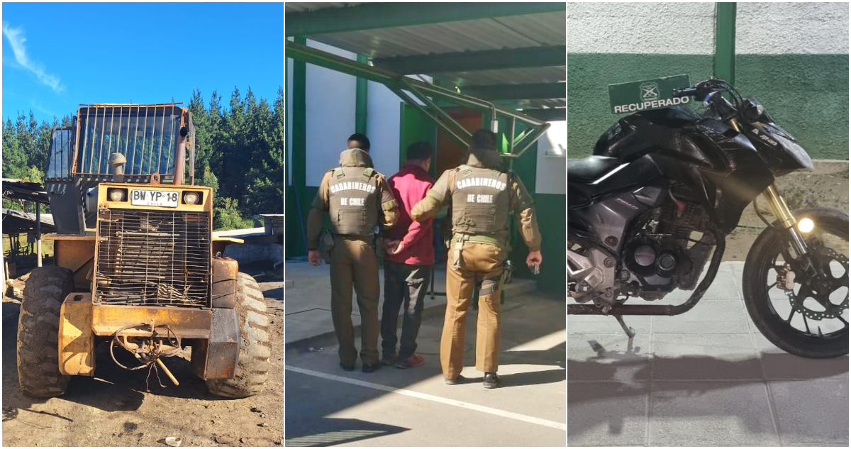 Curanilahue: operativos policiales dejan 2 detenidos por robo de madera y otro por receptación de moto