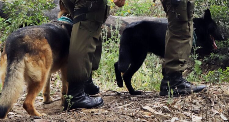 Desaparecidos en Petorca