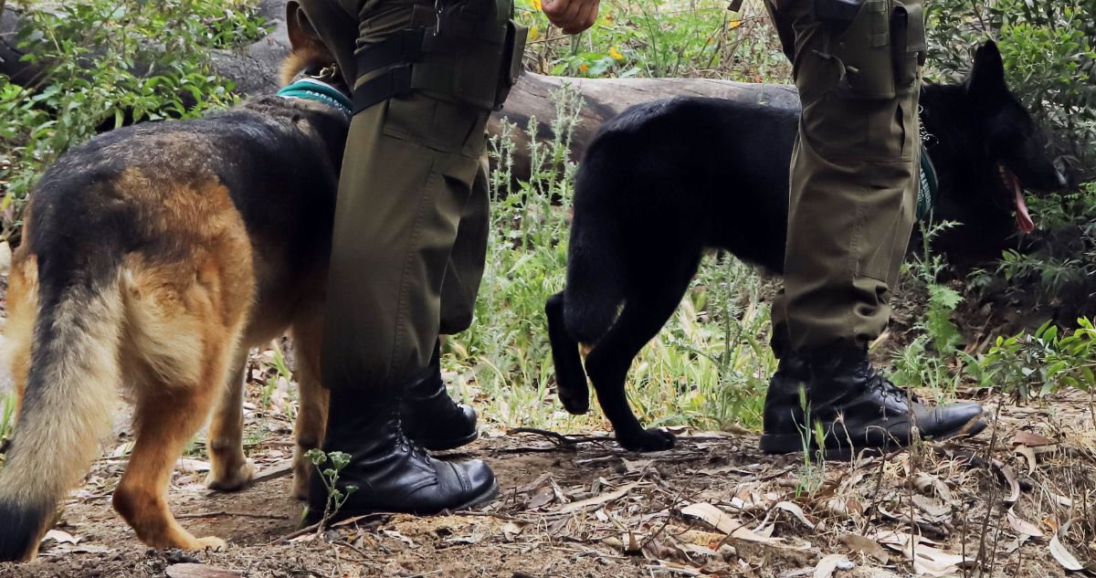 Desaparecidos en Petorca